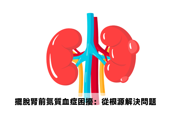 擺脫腎前氮質血症困擾：從根源解決問題