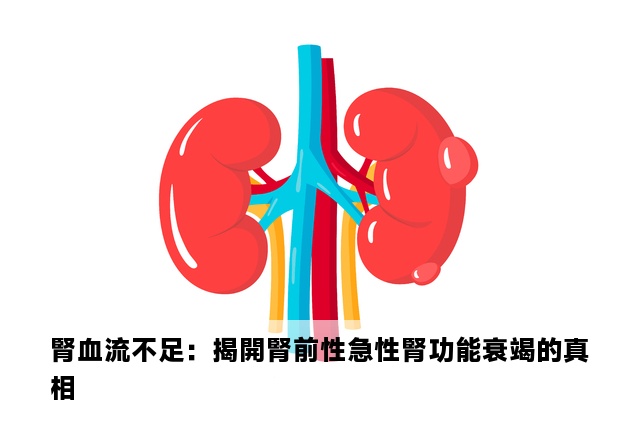 腎血流不足：揭開腎前性急性腎功能衰竭的真相