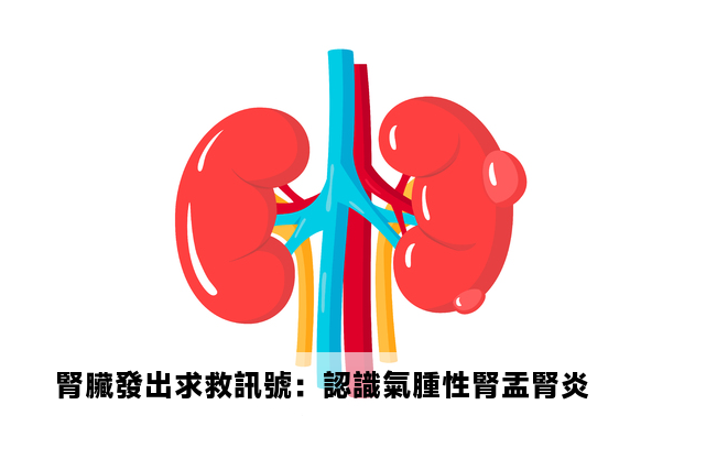 腎臟發出求救訊號：認識氣腫性腎盂腎炎