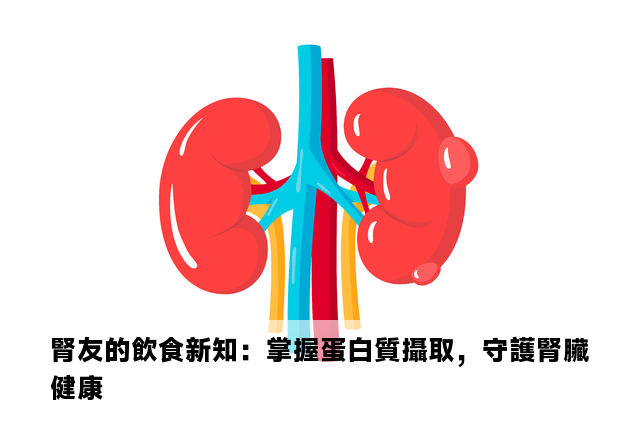 腎友的飲食新知：掌握蛋白質攝取，守護腎臟健康