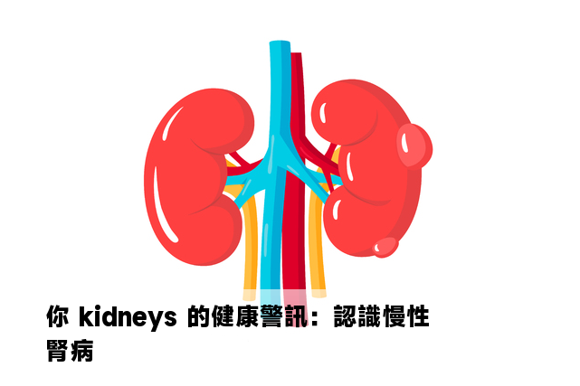 你 kidneys 的健康警訊：認識慢性腎病