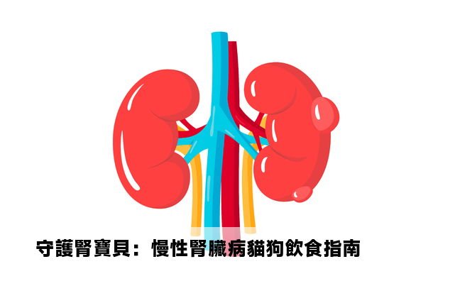 守護腎寶貝：慢性腎臟病貓狗飲食指南