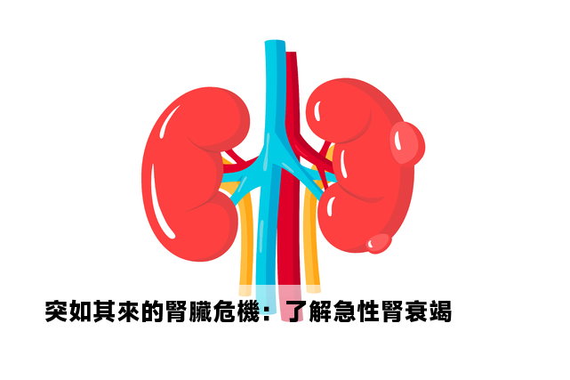 突如其來的腎臟危機：了解急性腎衰竭