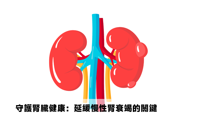 守護腎臟健康：延緩慢性腎衰竭的關鍵