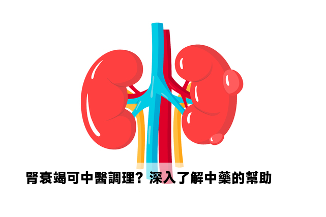 腎衰竭可中醫調理？深入了解中藥的幫助