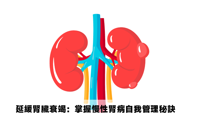 延緩腎臟衰竭：掌握慢性腎病自我管理秘訣