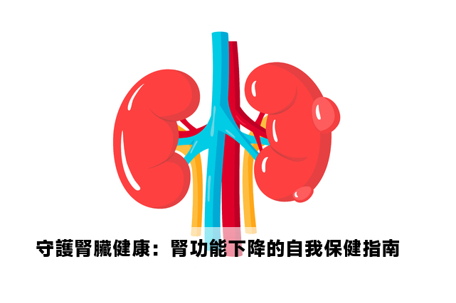 守護腎臟健康：腎功能下降的自我保健指南