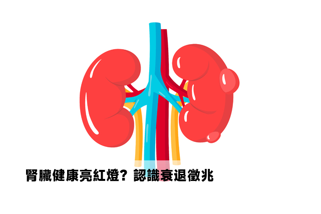 腎臟健康亮紅燈？認識衰退徵兆