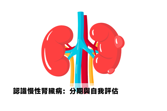 認識慢性腎臟病：分期與自我評估