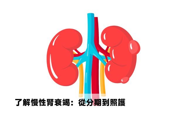 了解慢性腎衰竭：從分期到照護