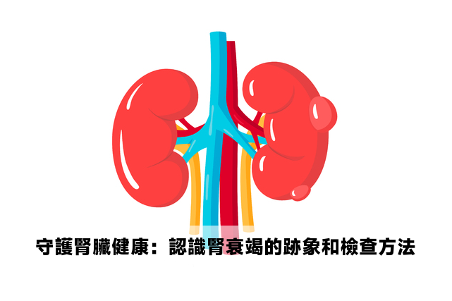 守護腎臟健康：認識腎衰竭的跡象和檢查方法