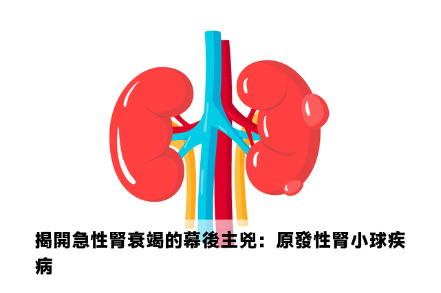 揭開急性腎衰竭的幕後主兇：原發性腎小球疾病