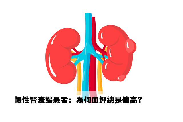 慢性腎衰竭患者：為何血鉀總是偏高？