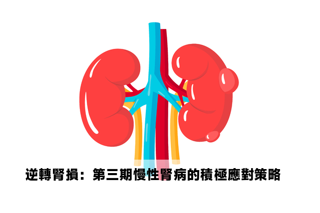 逆轉腎損：第三期慢性腎病的積極應對策略