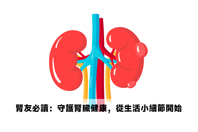 腎友必讀：守護腎臟健康，從生活小細節開始