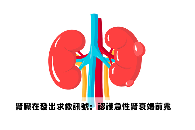 腎臟在發出求救訊號：認識急性腎衰竭前兆