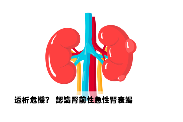 透析危機？ 認識腎前性急性腎衰竭