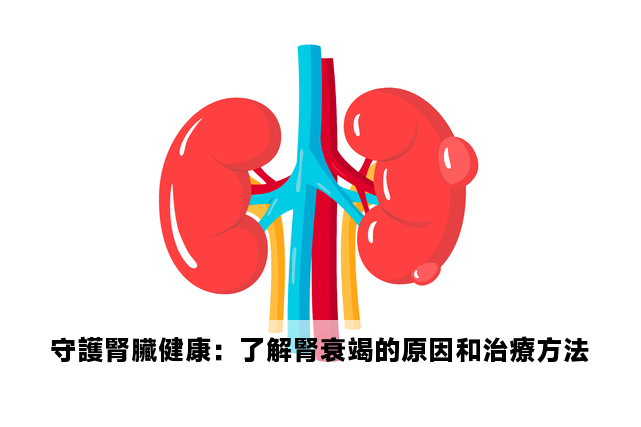 守護腎臟健康：了解腎衰竭的原因和治療方法