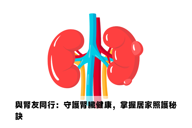 與腎友同行：守護腎臟健康，掌握居家照護秘訣