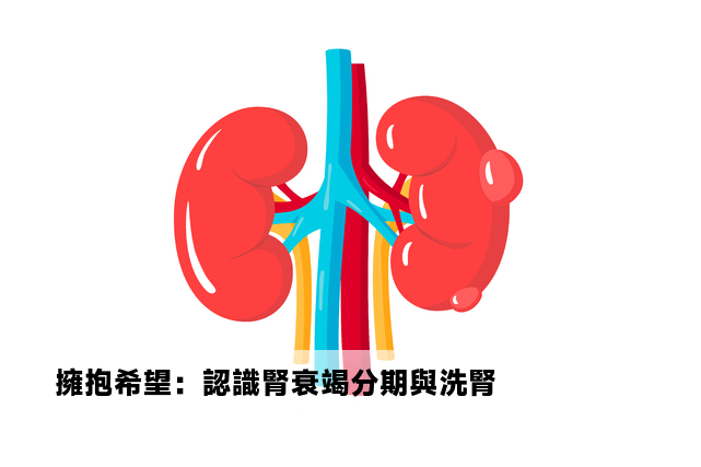 擁抱希望：認識腎衰竭分期與洗腎