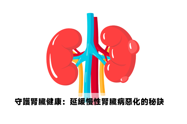 守護腎臟健康：延緩慢性腎臟病惡化的秘訣