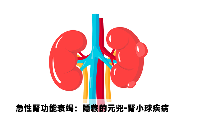 急性腎功能衰竭：隱藏的元兇-腎小球疾病