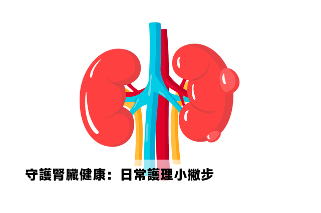 守護腎臟健康：日常護理小撇步