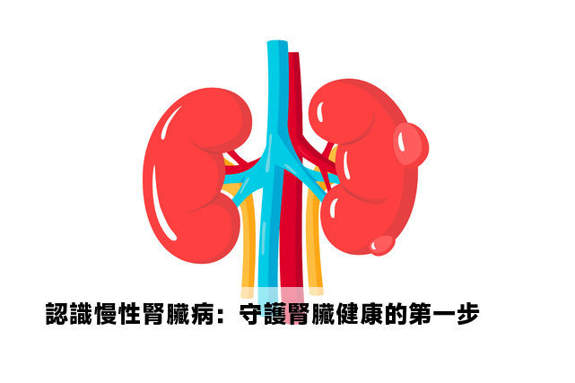 認識慢性腎臟病：守護腎臟健康的第一步