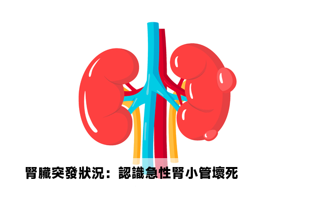 腎臟突發狀況：認識急性腎小管壞死