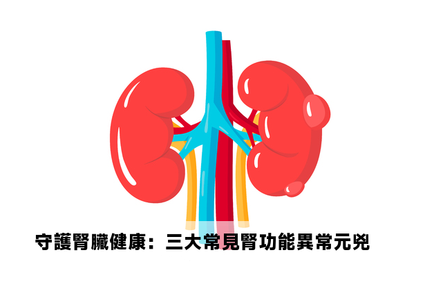 守護腎臟健康：三大常見腎功能異常元兇