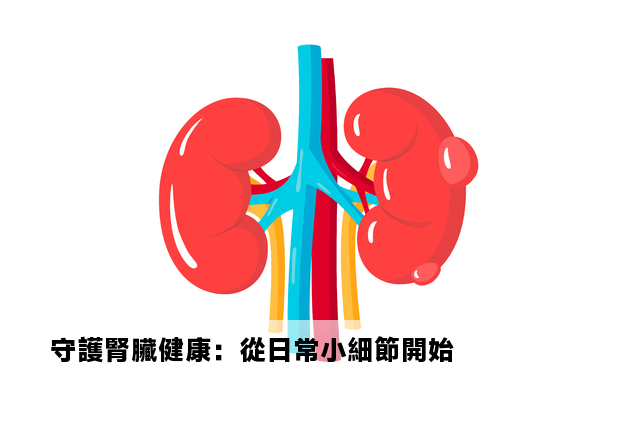 守護腎臟健康：從日常小細節開始