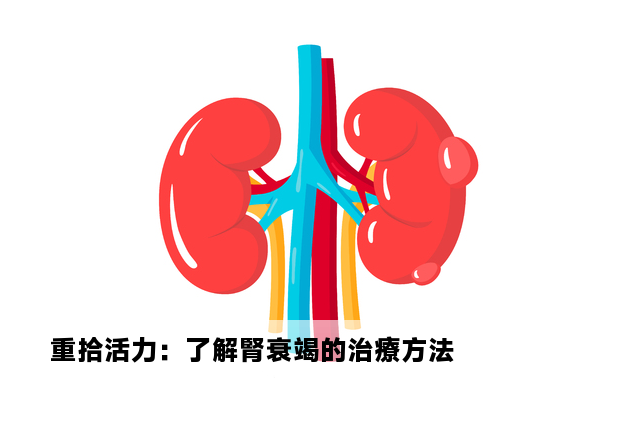 重拾活力：了解腎衰竭的治療方法