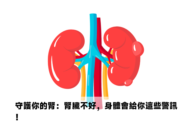 守護你的腎：腎臟不好，身體會給你這些警訊！