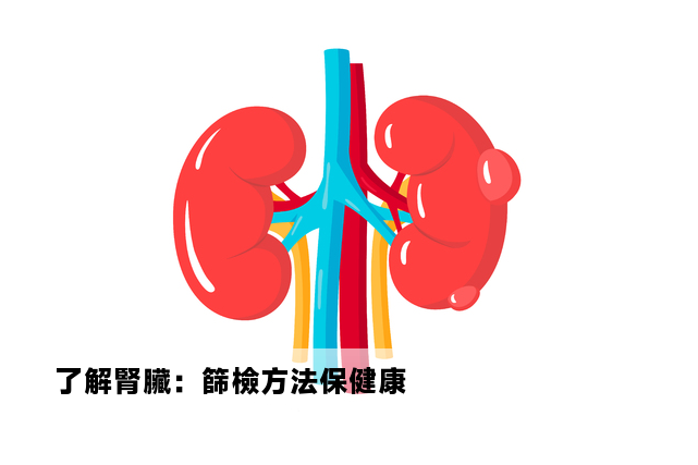 了解腎臟：篩檢方法保健康