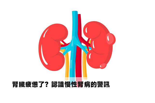 腎臟疲憊了？認識慢性腎病的警訊