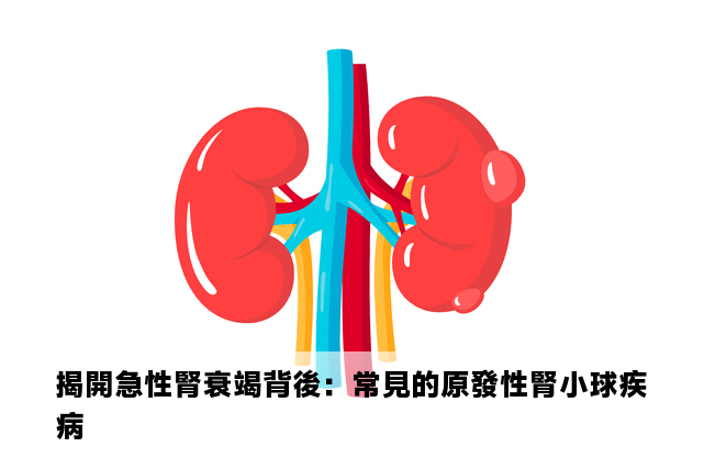 揭開急性腎衰竭背後：常見的原發性腎小球疾病